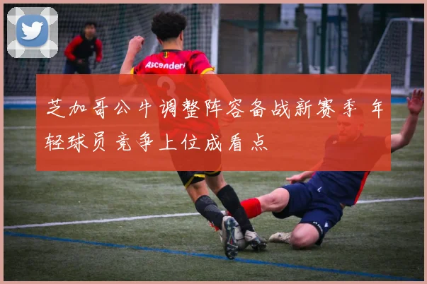 芝加哥公牛调整阵容备战新赛季 年轻球员竞争上位成看点