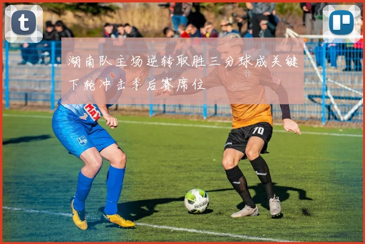 湖南队主场逆转取胜三分球成关键下轮冲击季后赛席位