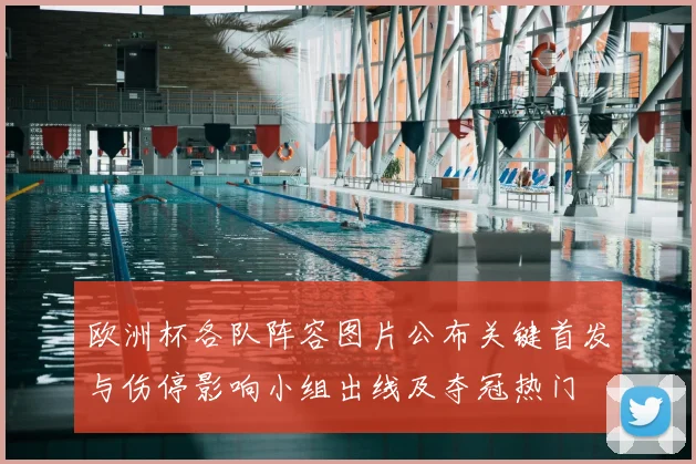 欧洲杯各队阵容图片公布关键首发与伤停影响小组出线及夺冠热门