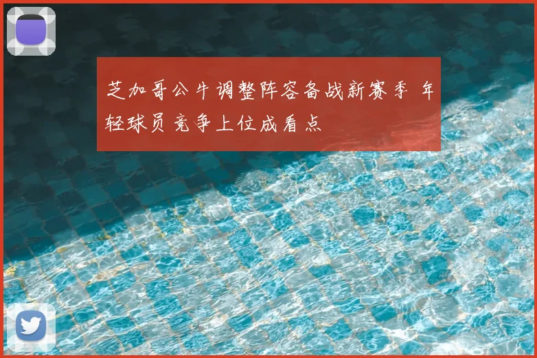 芝加哥公牛调整阵容备战新赛季 年轻球员竞争上位成看点