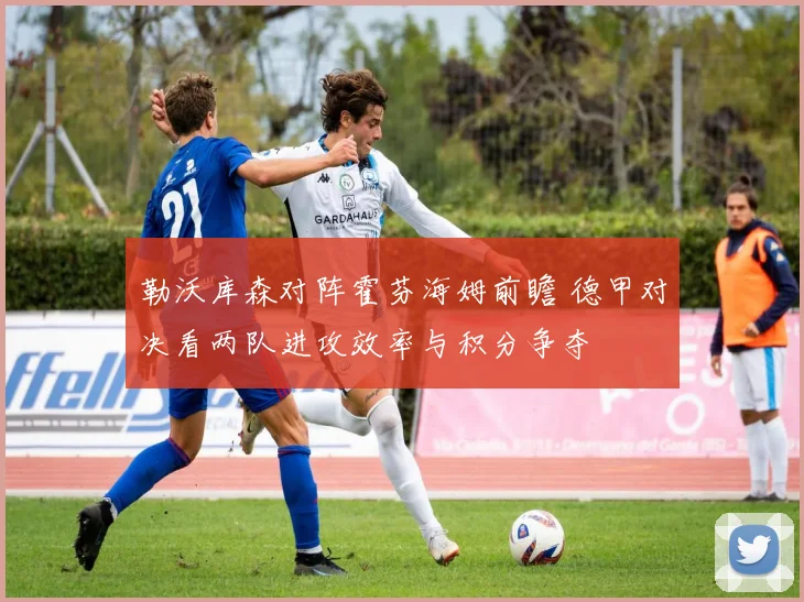 勒沃库森对阵霍芬海姆前瞻 德甲对决看两队进攻效率与积分争夺
